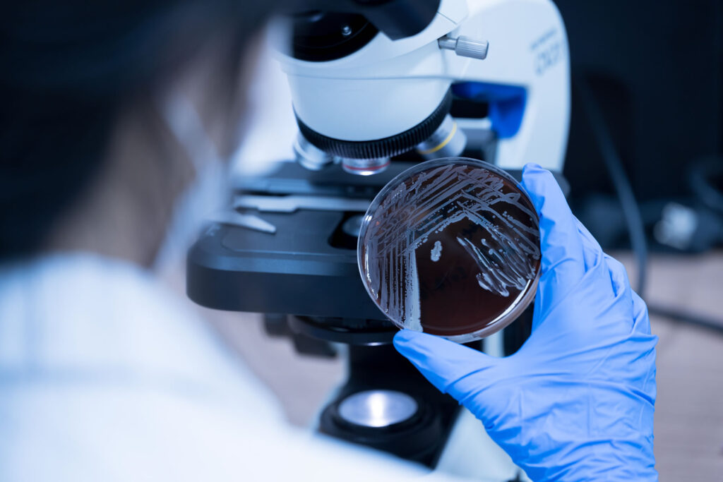 img crediamo nella ricerca